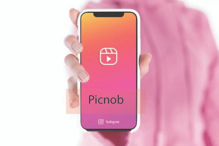 Picnob: Simplifying Instagram Image and Video Downloads