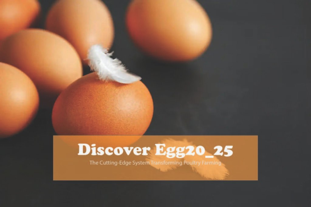 Discover Egg20_25: The Cutting-Edge System Transforming Poultry Farming