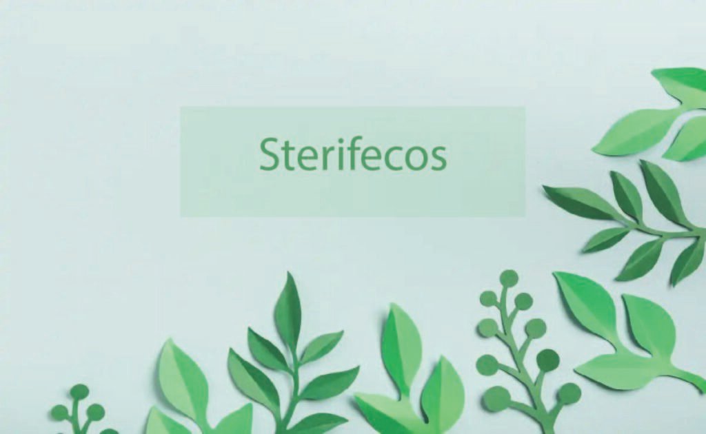 How Sterifecos Can Revolutionize Your Cleaning Routine